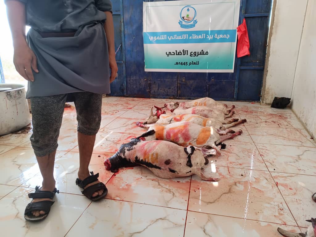 Lorem Picsum photo 1