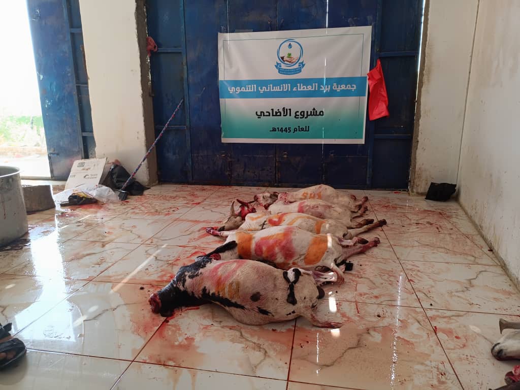 Lorem Picsum photo 3