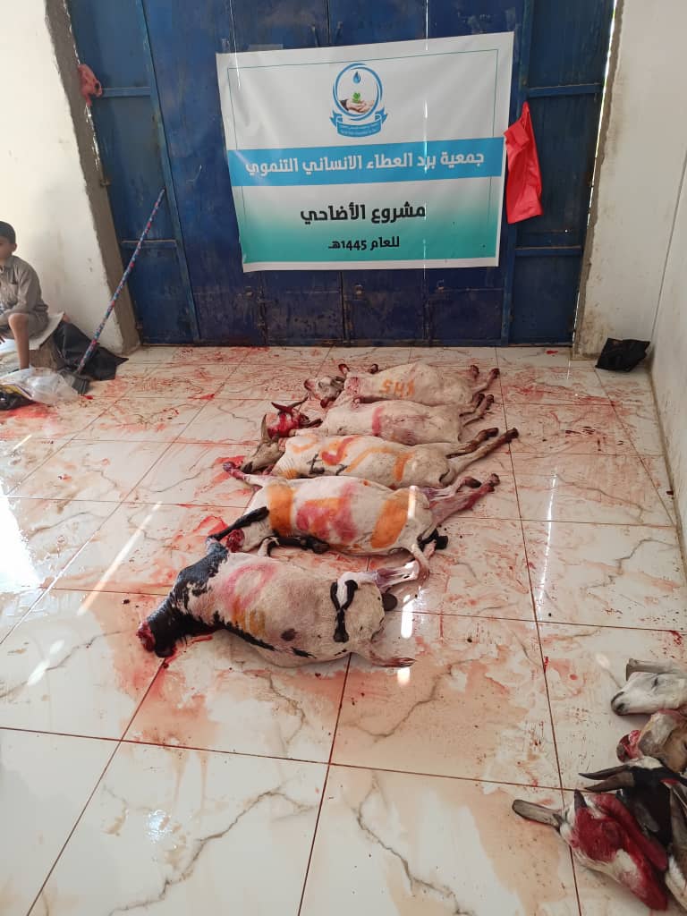 Lorem Picsum photo 4