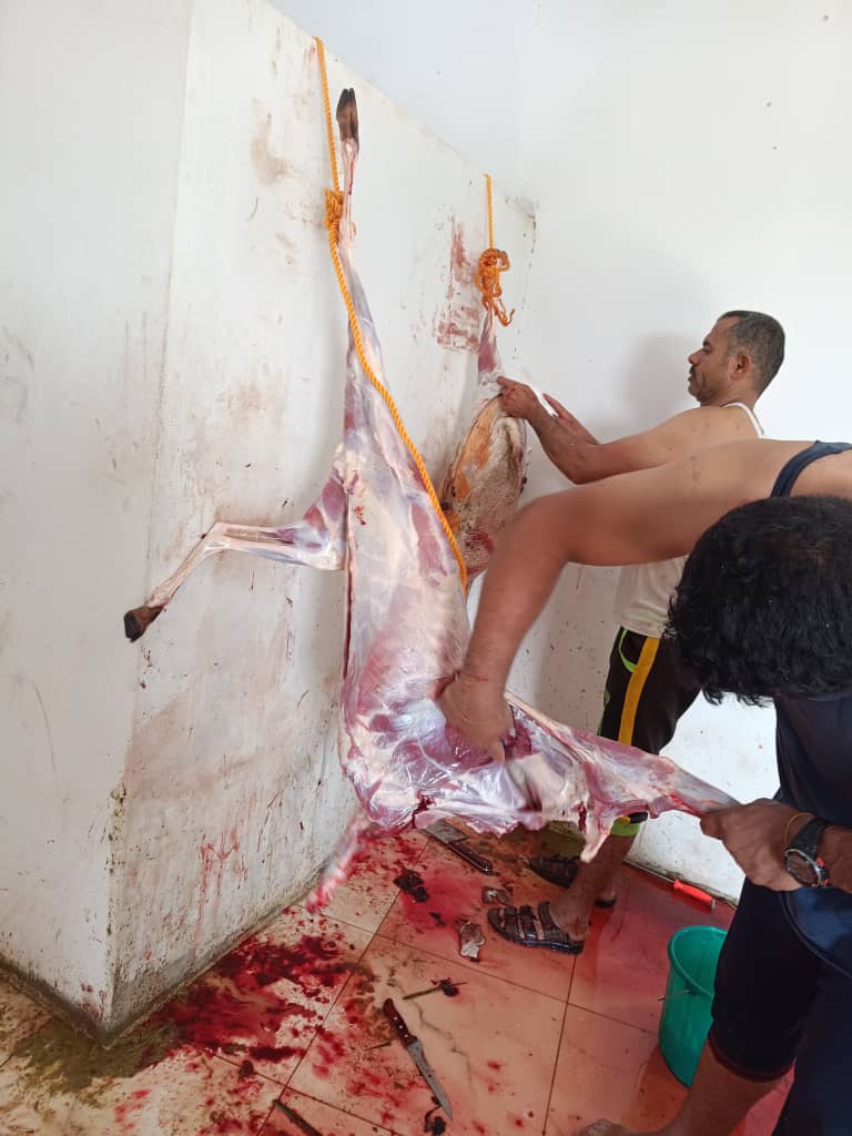 Lorem Picsum photo 5