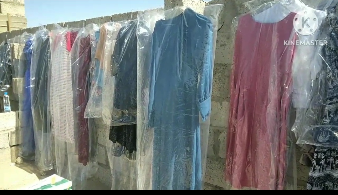 Lorem Picsum photo 3